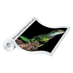 SIHL SUPERDRY ROLLUP FILM 190 MICRON SATIN POLYESTER FILM 914MM X 30M WHITE