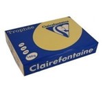 TROPHEE 160GSM BOARD A4 GOLD PACK 250