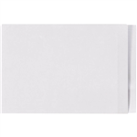 AVERY 42521 LATERAL FILE LEGAL WHITECLEAR MYLAR END TAB BOX 100