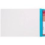 AVERY 42536 LATERAL FILE WHITE WITH MYLAR TAB LIGHT BLUE BOX 100