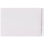 AVERY 42421 LATERAL FILE WITH CLEAR TAB MYLAR FOOLSCAP WHITE BOX 100