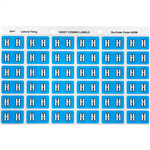 AVERY 43308 LATERAL FILE LABEL SIDE TAB H COLOUR CODE 25 X 38MM BLUE PACK 180