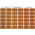 AVERY 43312 LATERAL FILE LABEL SIDE TAB L COLOUR CODE 25 X 38MM MUSTARD PACK 180