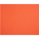QUILL BOARD 210GSM 510 X 635MM ORANGE PACK 20