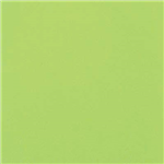 COLOURFUL DAYS COLOURBOARD 200GSM 510 X 640MM LIME GREEN PACK 50