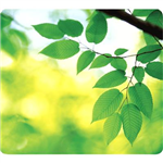 FELLOWES MOUSE PAD RECYCLED OPTICAL LEAVES