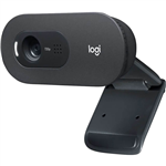 LOGITECH C505E HD BUSINESS WEBCAM BLACK