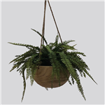 PLANT IMAGE MIXED HANGING BASKET LARGE 300MM GREEN BLACK