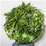 PLANT IMAGE VERTICAL WALL GARDEN ROUND LARGE