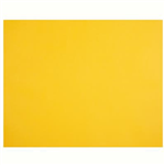 QUILL XL MULTIBOARD 210GSM 510 X 635MM SUNSHINE PACK 20