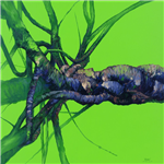 QUIETPRINT ACOUSTIC ART BY DREW HARRISON LARGE MEDUSA COMPLEX