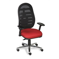 Ergonomic Chairs