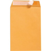 380 X 255mm Envelopes