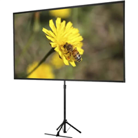 Projector Screens